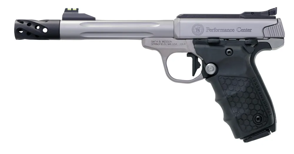 Smith & Wesson SW22 Victory Target