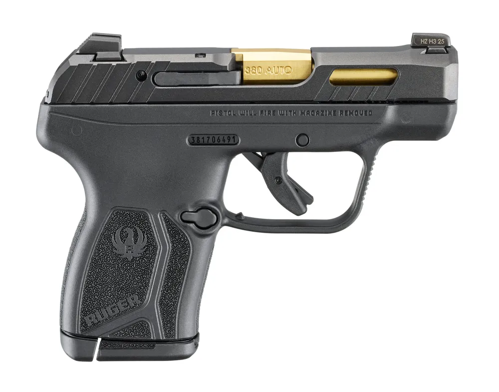 Ruger LCP MAX