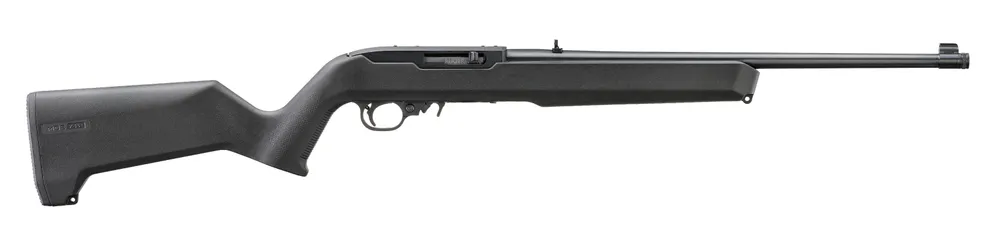 Ruger 10/22 Carbine