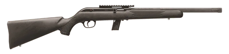 Savage Arms 64 FV-SR