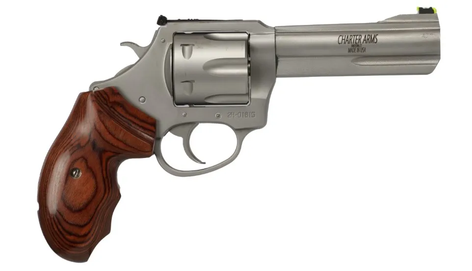 Charter Arms The PROFESSIONAL VI