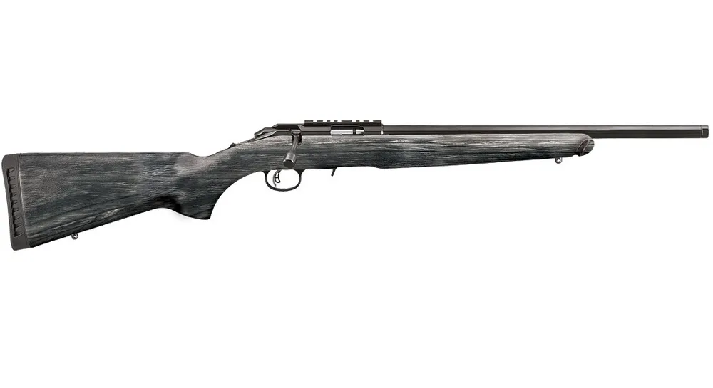 Ruger American Rifle Target