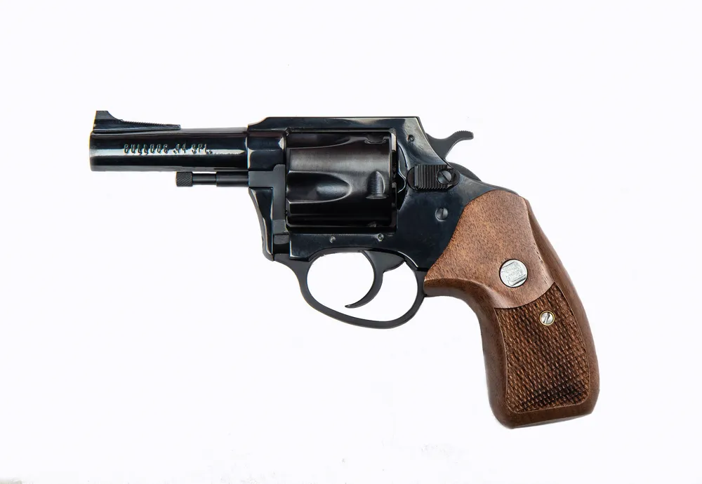 Charter Arms Classic Bulldog