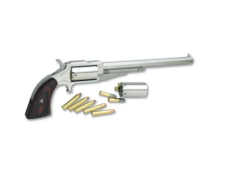 North American Arms The Earl