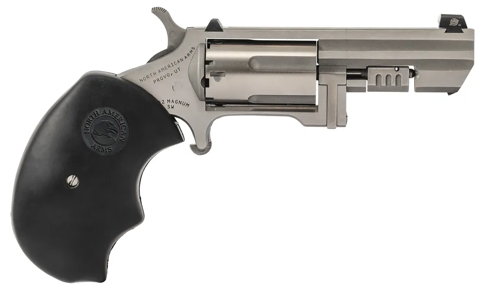 North American Arms Recluse