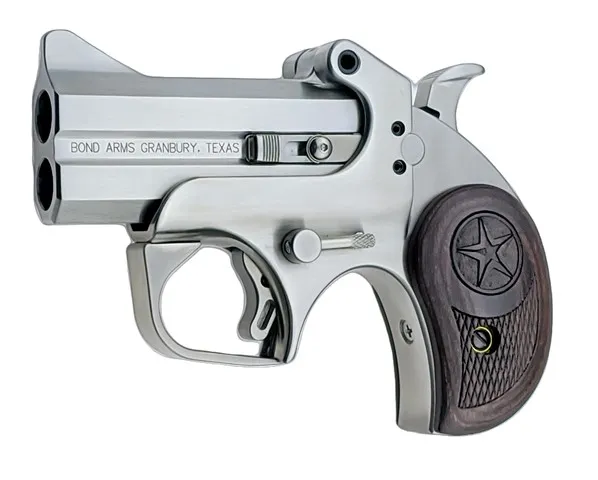 Bond Arms Texas Defender